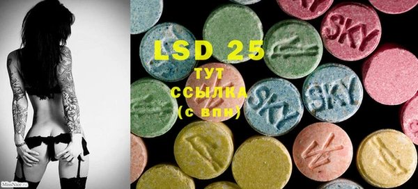 ECSTASY Горняк