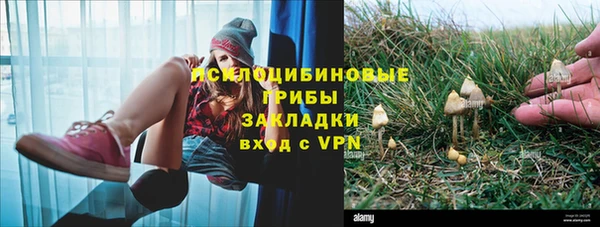 не бодяженный Горно-Алтайск