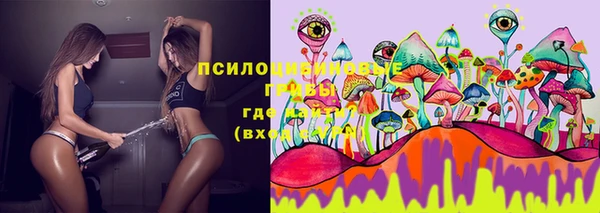 ECSTASY Алексеевка