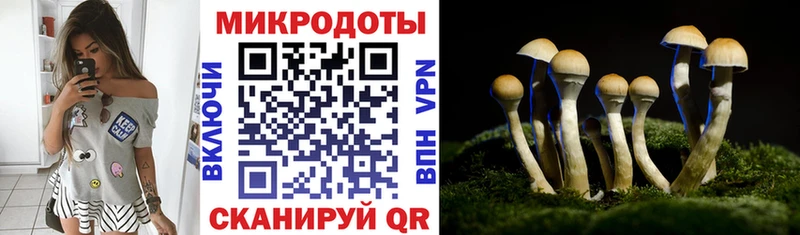 кракен Южно-Сахалинск Псилоцибиновые грибы Psilocybine cubensis